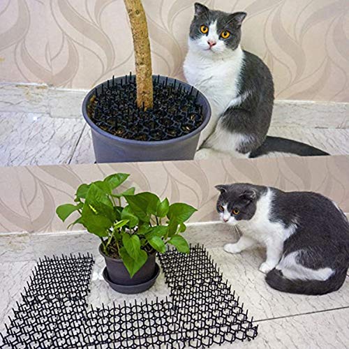 Alfombrilla para Gatos con Clavos Repelentes de Plástico Humano Tapón de Excavación Anti-Gatos Alfombrilla Disuasoria para Mascotas para Jardín Granja Proteger Plantas Flores 200