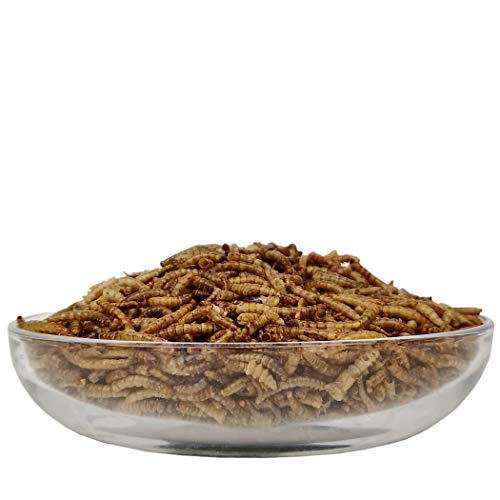 algova Mealworms Dried - Alimento Natural de Insectos para Peces Ornamentales, Aves Ornamentales, Tortugas, erizos (5L = 850g)