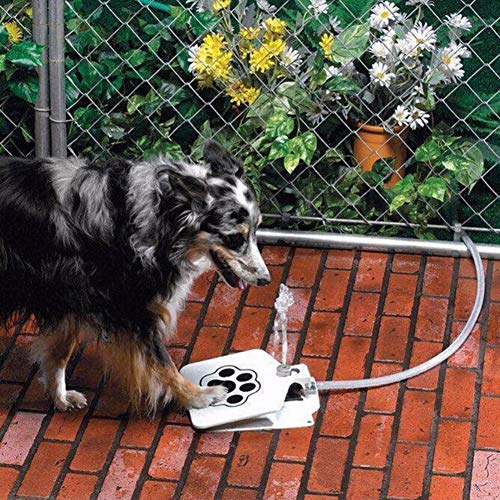 Alimentador automático de agua para mascotas - Fuente de agua automática para mascotas de acero inoxidable Alimentador para beber activado al aire libre Manguera de rociado con pedal Bebedero para per