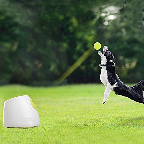 ALL FOR PAWS Hyperfetch Ultimate Lanzador de bolas automático interactivo juguete para perro, máquina de lanzar pelotas de tenis para entrenamiento de perros, 3 bolas incluidas (mini estilo)