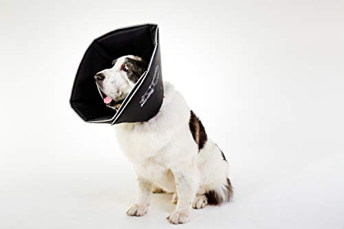 All Four Paws - Collarín de recuperación para Mascotas The Comfy Cone