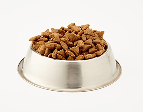 Almo Nature Pienso para Perros Medianos Holistic Dry Buey (12 kg). Alimento para Perros Seco Alto en Proteínas para Razas Medianas con Sabor a Carne Fresca. Comida Seca de Fácil Digestión