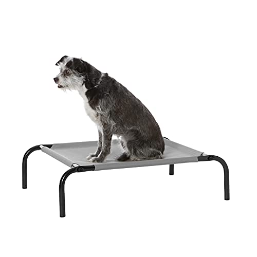 Amazon Basics - Cama elevada transpirable para mascotas, extrapequeña (70 x 50 x 19 cm), gris