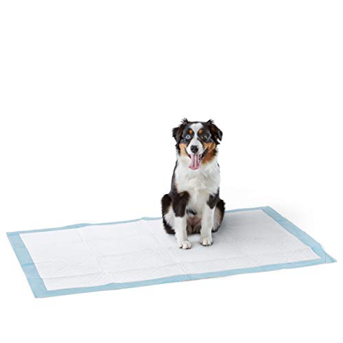 Amazon Basics - Empapadores de adiestramiento para perros y cachorros, absorción muy resistente, tamaño gigante de 70 x 112 cm, 30 unidades