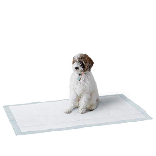 Amazon Basics - Empapadores de adiestramiento para perros y cachorros, absorción normal, tamaño gigante de 70 x 112 cm, 40 unidades