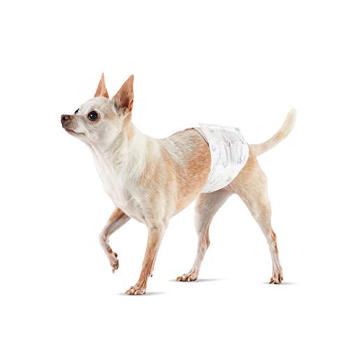 Amazon Basics Male Dog Wrap/Disposable Diapers, Extra Small - Pack of 50