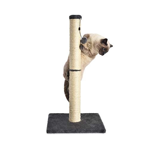 Amazon Basics - Poste rascador para gatos, mediano, 40,6x40,6x81,3 cm, gris