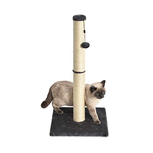 Amazon Basics - Poste rascador para gatos, mediano, 40,6x40,6x81,3 cm, gris