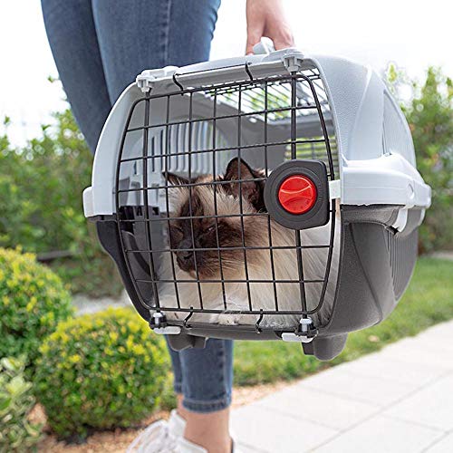 Amazon Basics - Transportín de mascotas prémium con 2 puertas para gatos y perros, 51 cm