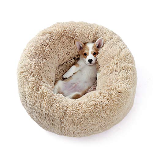 Amazon Brand – Umi Cama de Perro de Felpa Suave y cálida Donut Cama para Perro Cama para Dormir mullida sofá para Mascotas de Varios tamaños para Perros pequeños medianos Lavable a máquina Beige S