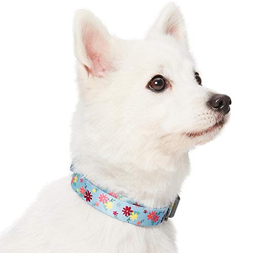 Amazon Brand - Umi Made Well - Collar para Perros con Estampado de Flores M, Cuello 37-50 cm, Collares Ajustables para Perros (Azul bebé)