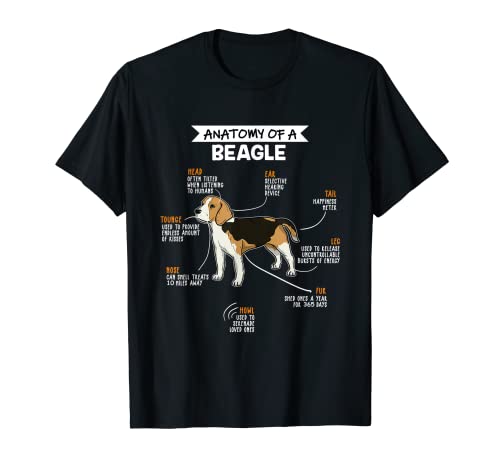 Anatomy Of A Beagle Regalo Divertido Perro Camiseta