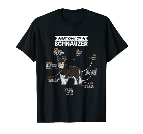 Anatomy Of A Schnauzer Regalo Divertido Perro Camiseta