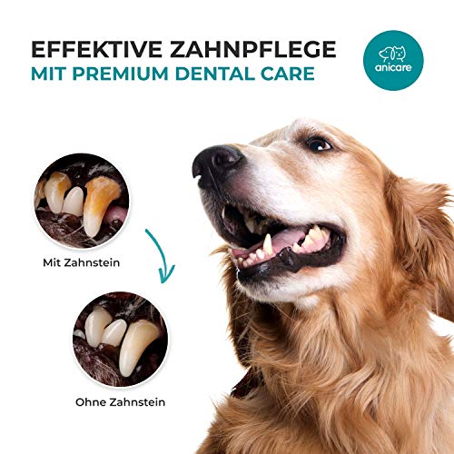 Anicare Premium Dental Care: espray Dental para Perros y Gatos, para Lograr una Correcta Limpieza y Cuidado Dental. Acaba con el Mal Aliento y Elimina el sarro!