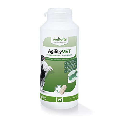 AniForte AgilityVET en tabletas para perros, 300 pastillas. Tabletas naturales para articulaciones con mejillón de labios verdes, garra del diablo, colágeno, glucosamina y condroitina