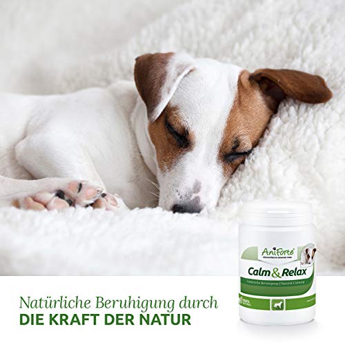 AniForte Calm & Relax Calmante Natural para Perros 100g - Sedante Natural para su Perro. Plantas medicinales para la ansiedad, el estrés, la inquietud, la víspera de año Nuevo y Viajes