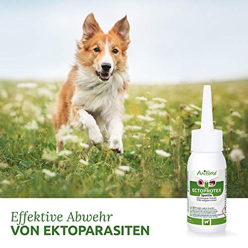 AniForte Ectoprotex para Perros Formato Spot On 50ml - Repelente de Larga duración para garrapatas, pulgas, ácaros y parásitos, Protección efectiva contra garrapatas, con extracto de Margosa