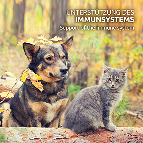 AniForte MultiVETAL es un multivitamínico en polvo para perros, gatos 100g - Vitaminas, minerales y nutrientes naturales para ayudar a las defensas de manera natural