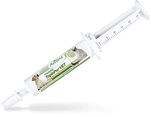 AniForte Prebiótico TopinPur Vet para Perros y Gatos Aplicador de 30 ml - La alcachofa de Jerusalén Ayuda al estómago, la digestión y la inflamación del intestino, m Inulina, vitaminas y minerales