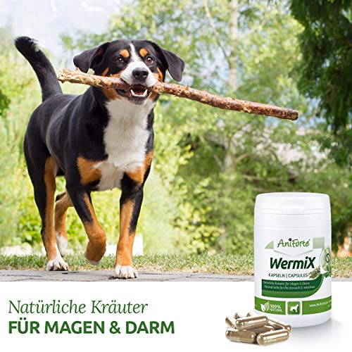 AniForte WermiX para Perros 50 cápsulas - Producto Natural Antes, Durante y después de la desparasitación y la infestación de lombrices, Las Hierbas Naturales armonizan el estómago y el intestino