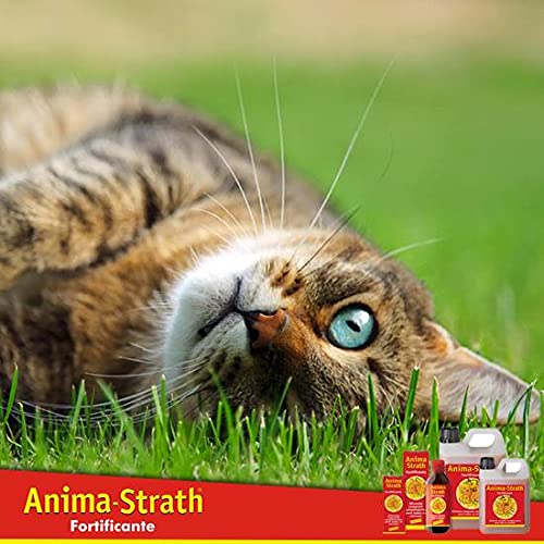 Anima Strath 40 comprimidos Suplemento Nutricional para Animales de Compañía | Fortificante Natural | Mejora Energía y Vitalidad | Apoya Sistema Inmune