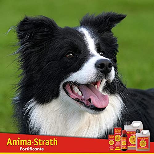Anima Strath 40 comprimidos Suplemento Nutricional para Animales de Compañía | Fortificante Natural | Mejora Energía y Vitalidad | Apoya Sistema Inmune