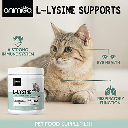 Animigo Lisina para Gatos 250g Suplemento 100% Natural para Las Defensas y el Sistema Inmune