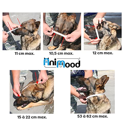 Animood Bozal de metal y piel reforzada para perros de tipo Rottweiler, Dog Alemán