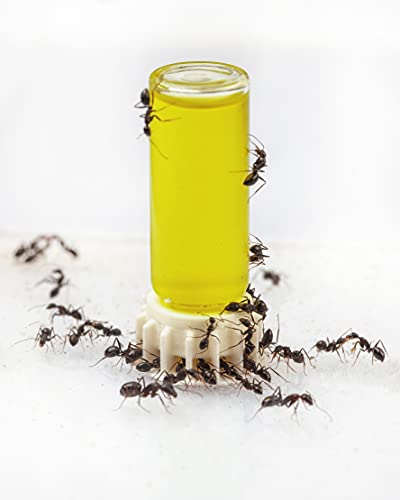 AntHouse.es - Súper Alimento para Hormigas Néctar Alimenticio Amarillo 50 ml | Complemento Ideal para tu Terrario u Hormiguero, Comida para Que Las Hormigas tengan la Energía Que Necesitan