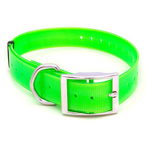 Arcea Polytec Collar para Perro, Verde fosforito, 50 mm