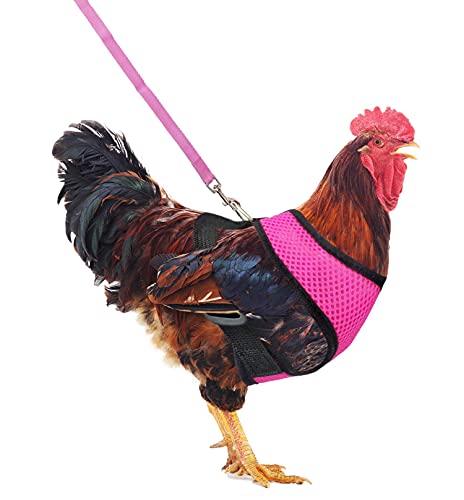 Arnés ajustable para pollo YUEPET con correa elástica, cómodo y transpirable para mascotas, para paseo, gallina de pato y gallina, pequeño