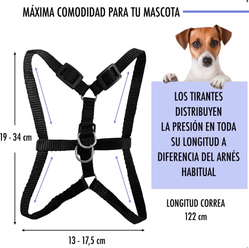 Arnés Perro Pequeño Ajustable a Diferentes Tamaños. Incluye Correa Perro Antitirones. Arnés XS Ideal para Perro Pequeño y Gatos.