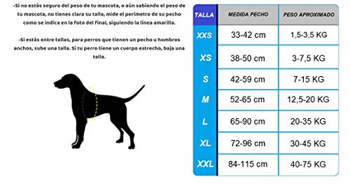 Arnés Personalizado para Perros - Estampado - Reflectante - Incluye 2 Etiquetas Personalizables con Nombre - Todos los Tamaños (Estampado, M 12,5-20KG) (M 13-22KG, Camuflaje)