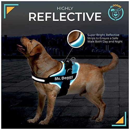 Arnes Personalizado para Perros Reflectante - Incluye 2 Etiquetas con Nombre - Tamaño Pequeño, Mediano y Grande - De Calidad y Resistente (S 6-14KG, Azul Claro)