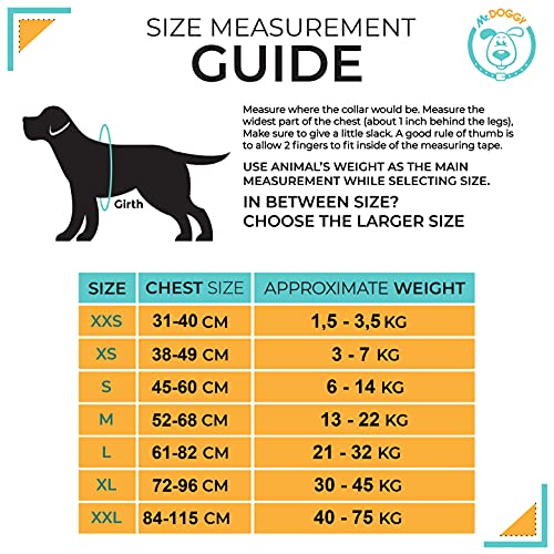 Arnés Personalizado para Perros - Reflectante - Incluye 2 Etiquetas con Nombre - Todos los Tamaños - De Calidad y Resistente (S 7,5-15KG, Azul Claro)