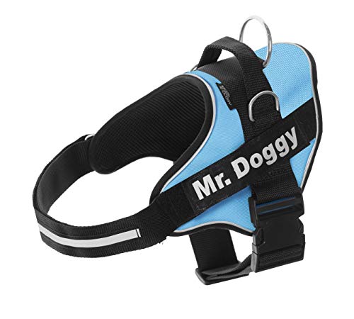 Arnés Personalizado para Perros - Reflectante - Incluye 2 Etiquetas con Nombre - Todos los Tamaños - De Calidad y Resistente (S 7,5-15KG, Azul Claro)