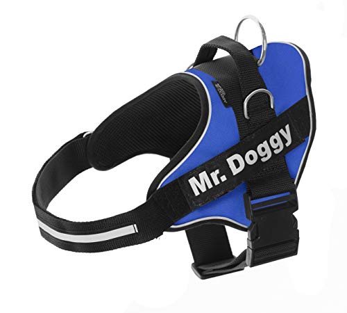 Arnés Personalizado para Perros - Reflectante - Incluye 2 Etiquetas con Nombre - Todos los Tamaños - De Calidad y Resistente (XS 3-7,5KG, Azul)