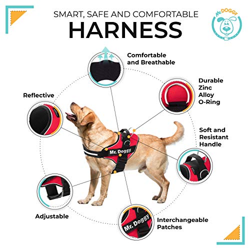 Arnés Personalizado para Perros - Reflectante - Incluye 2 Etiquetas con Nombre - Todos los Tamaños - De Calidad y Resistente (XS 3-7,5KG, Rojo)