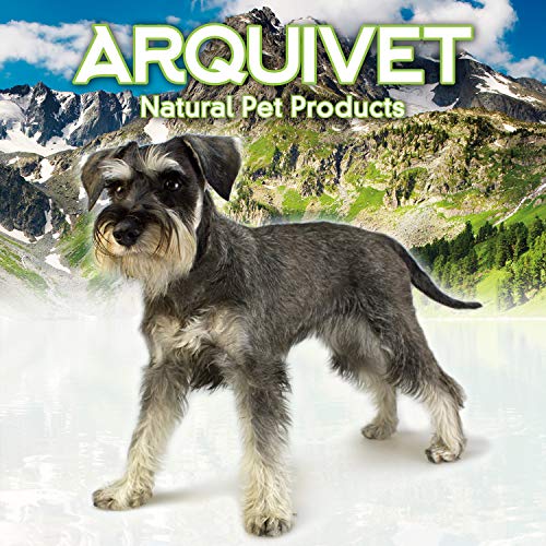 ARQUIVET Cama Cuadrada Mascotas en casa para Perros - 70 x 60 x 20 cm - Dog Bed - Cama Acolchada y cómoda - Se Puede Lavar - Camas para Mascotas - Cuna para Perros