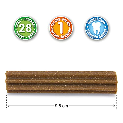ARQUIVET Dental Sticks - Snacks dentales para Perros - Productos higiene Dental Canina - Snacks Naturales - Chuches y golosinas para Perros - Dientes sanos Perros - Caja 28 uds.