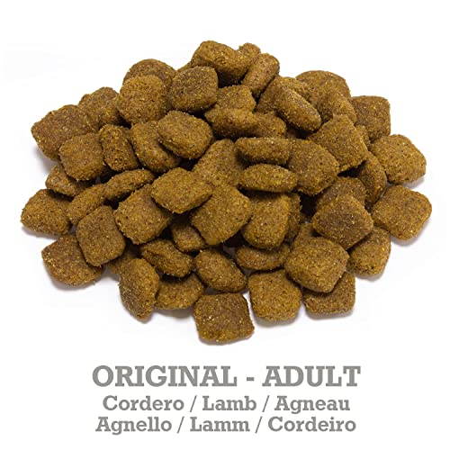 Arquivet Original Adult - Pienso para Perros Adultos - Cordero y arroz - Comida para Perros - Alimento seco para Perros - Alimentación Canina - Pienso Saludable - 12 kg