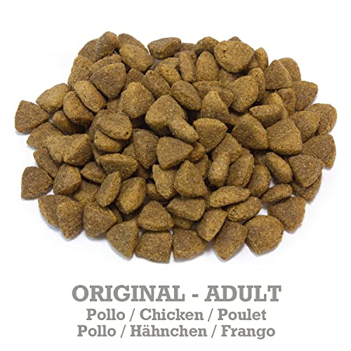 Arquivet Original Adult - Pienso para Perros Adultos - Pollo y arroz - Comida para Perros - Alimento seco para Perros - Alimentación Canina - Pienso Saludable - 12 kg