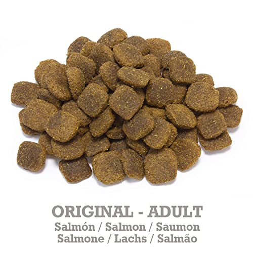 Arquivet Original Adult - Pienso para Perros Adultos - Salmón y arroz - Comida para Perros - Alimento seco para Perros - Alimentación Canina - Pienso Saludable - 12 kg