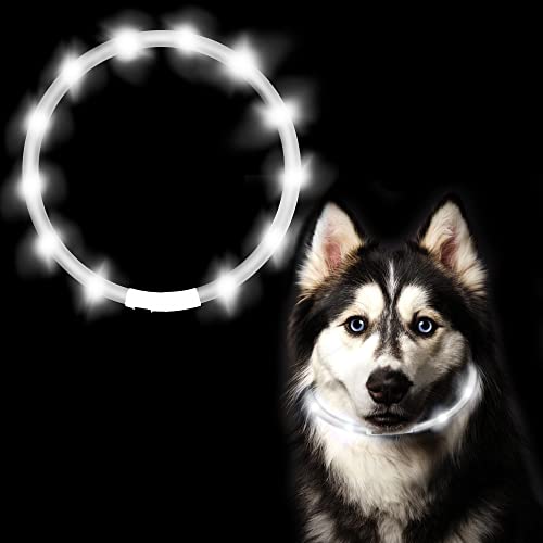 ASANMU Collar de perro LED luminoso, collar para perros, collar luminoso, USB recargable, banda de perro de noche parpadeante, seguridad para perros, cachorros, gatos (color blanco)