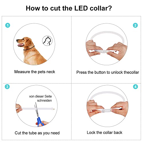 ASANMU Collar de perro LED luminoso, collar para perros, collar luminoso, USB recargable, banda de perro de noche parpadeante, seguridad para perros, cachorros, gatos (color blanco)