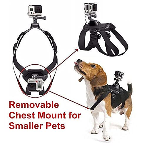 ATING Para GoPro HD Hero cámara ajustable perros mascotas arnés espalda y pecho cinturón montaje