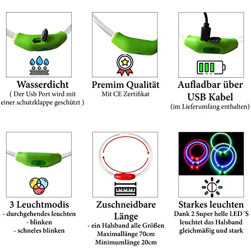 B4P Collar LED para perros recargable por USB, collar de perro pequeño, grande, mediano, longitud ajustable, 3 modos de iluminación, recargable, color verde