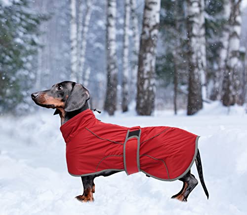 babepet Abrigo de perro con barra reflectante, perfecto para perros salchichas, abrigo de invierno con forro polar acolchado y cuello alto, traje de nieve para perro con bandas ajustables