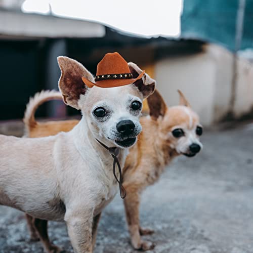 Balacoo HUNTIER - Sombrero de vaquero para perro, gorro de pepei, gorro ajustable, accesorio para disfraz de cowboy para cachorros, para fiestas, foto M