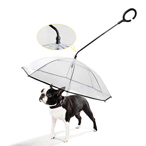 Balacoo - Paraguas para perros con correa telescópica, fácil de ver, transparente, plegable para caminar cachorros